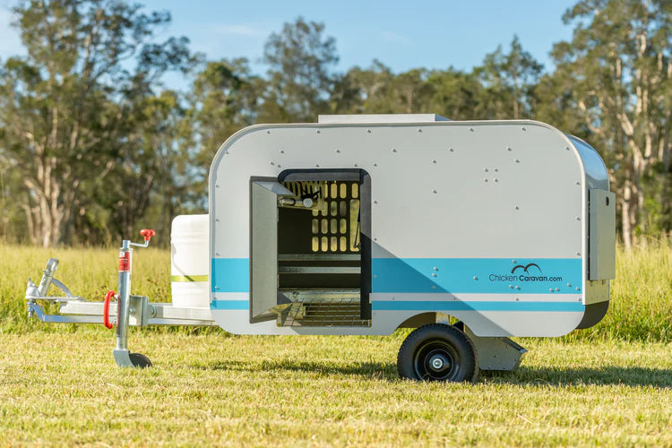 Chicken Caravan 10